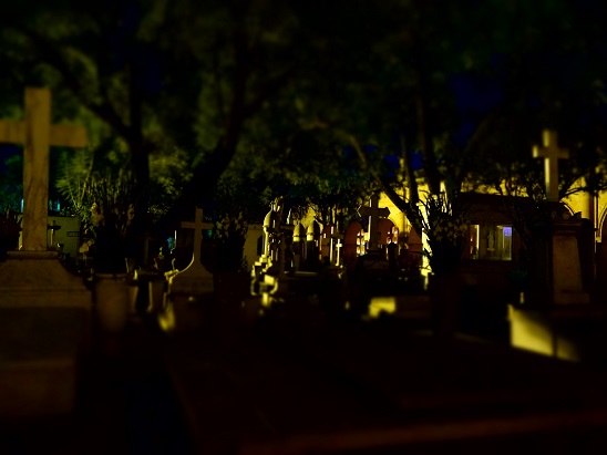 DSC03901.jpg