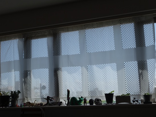 DSC07897.jpg