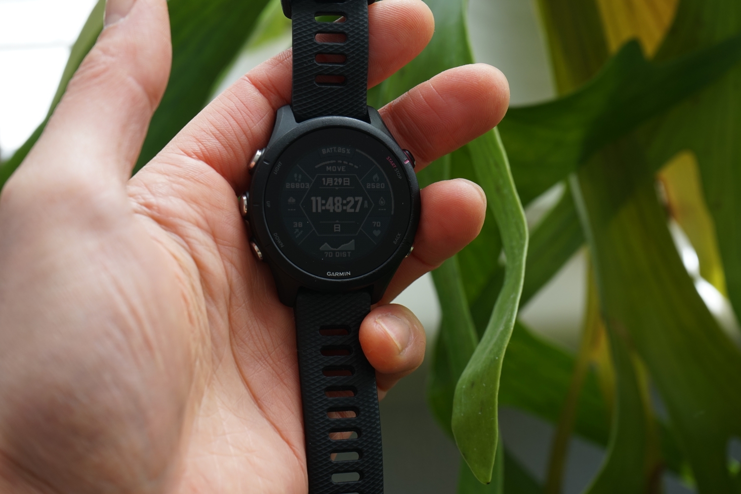GARMIN 255S MUSIC（使用4ヶ月レビュー） | ある日の光