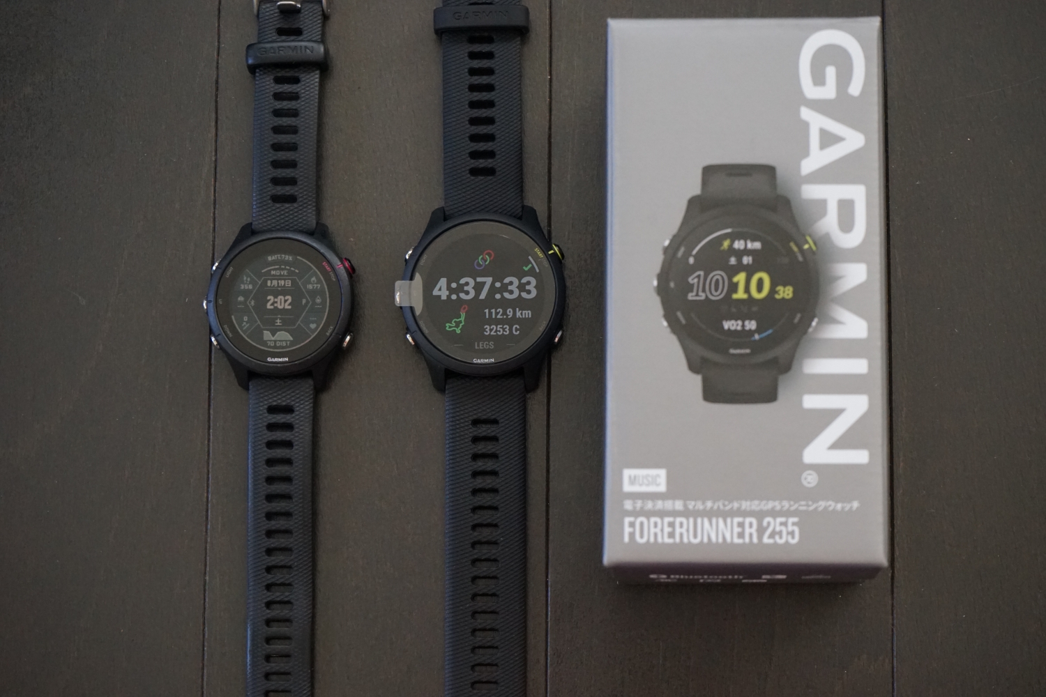 GARMIN255 MUSICを購入（買い替え） | ある日の光
