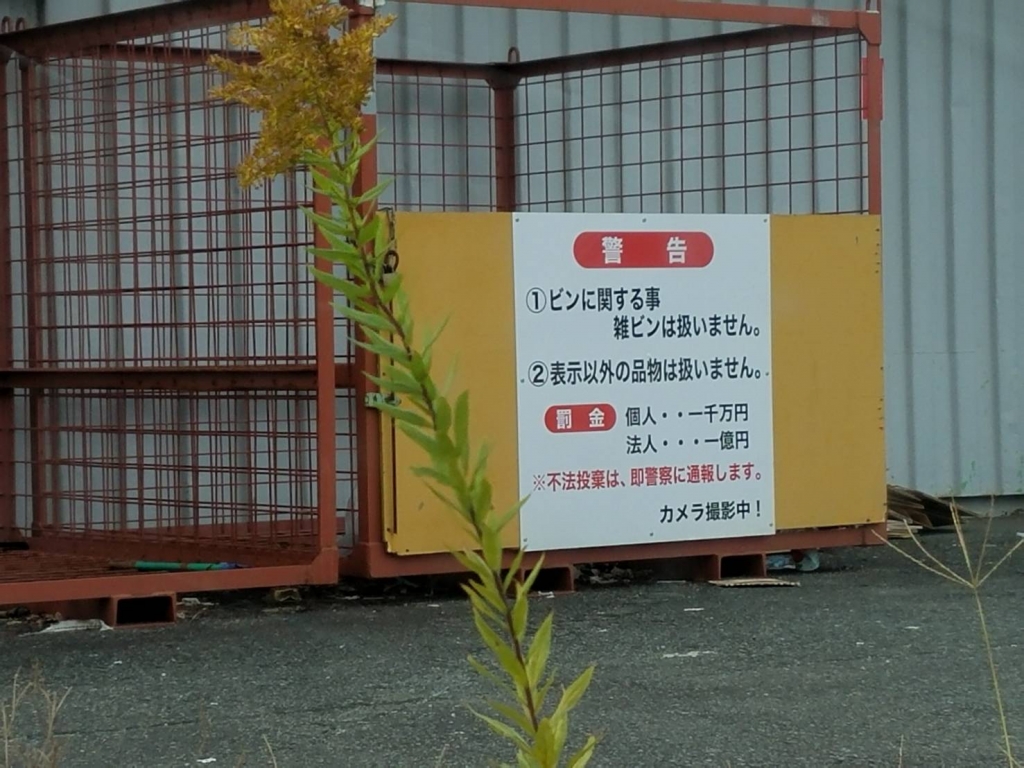 image1.jpeg