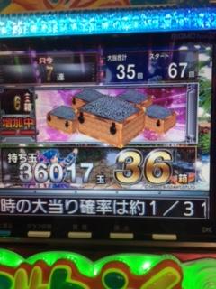 image1.jpeg