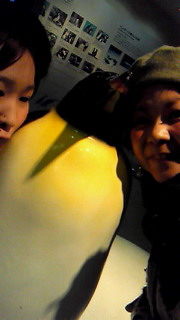 201102081653000.jpg