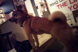 20111225_051257.jpg