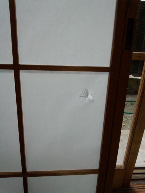 2012-10-30 障子貼り