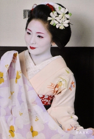 舞妓さんポストカード Raak 伊兵衛日記