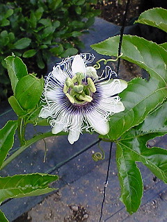 200802211216002.jpg