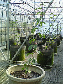 200802211353000.jpg