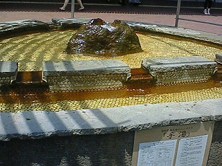 NEC_3494.jpg