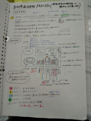 看護師 勉強ノート 作成 新人看護師 新卒看護師 看護師 勉強ノート 作成 新人看護師 新卒看護師 - メルカリ
