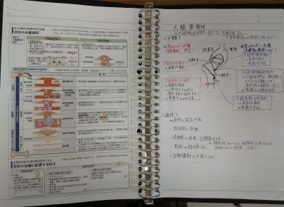 看護師 勉強ノート 作成 新人看護師 新卒看護師 新人看護師におすすめ】失敗しない勉強ノートの作り方を徹底解説