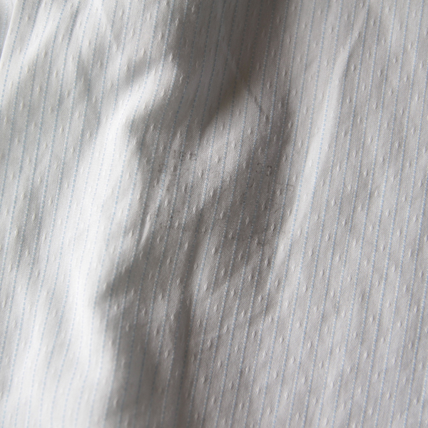 ws6.jpg