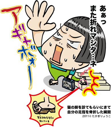 足指骨折 何度目?