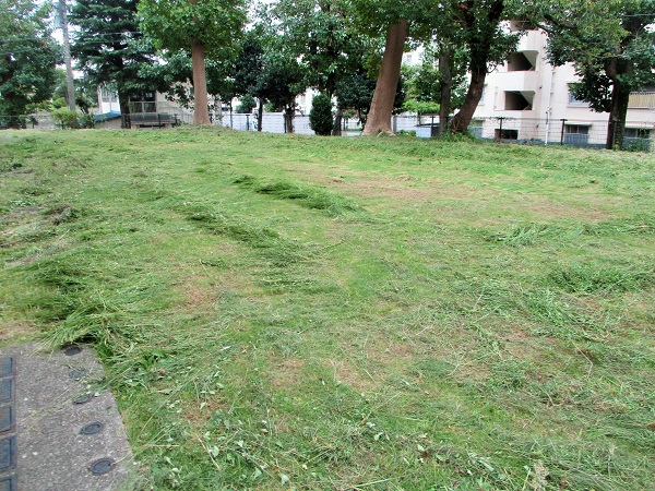 16棟は上飯田団地連合自治会の緑化委員会の皆様にお願いいたしました…。