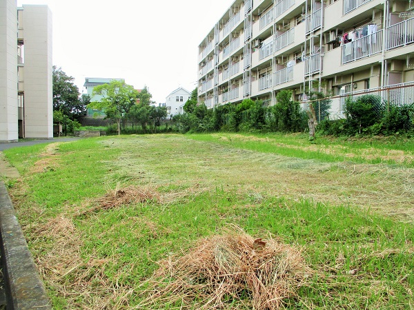 16棟は上飯田団地連合自治会の緑化委員会の皆様にお願いいたしました…。