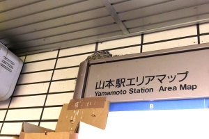 つばめの巣