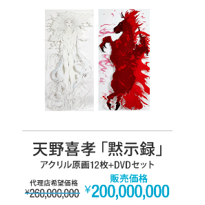 天野喜孝 アクリル原画12枚+DVDセット