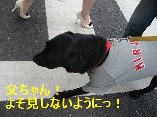 どんどん行きまちゅよぉ〜