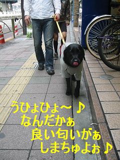 クンクン!