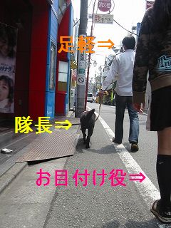 ものども、ついてまいれ!