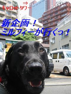 展望台の景色が良いそうです。あたちは行けないけど。