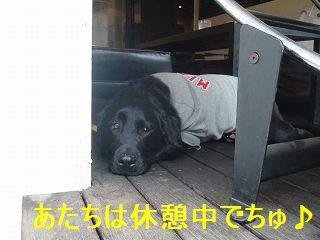 水だけじゃ、いやでちゅよ。