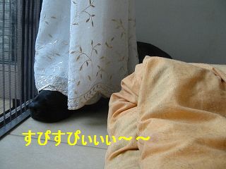 あんみつおいしぃ〜・・・むにゃむにゃ・・・
