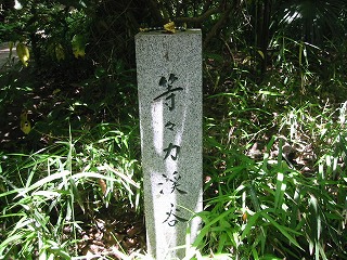 等々力渓谷と申します♪