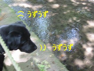 このあたりから興奮状態。。。