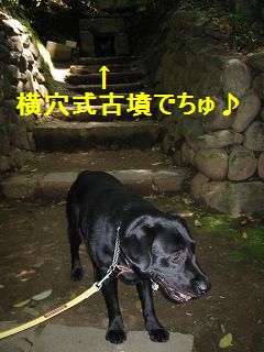 あの中においしいものある?