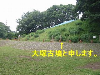 あれは食べれるんでしょ?
