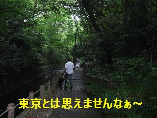 かなり涼しいです