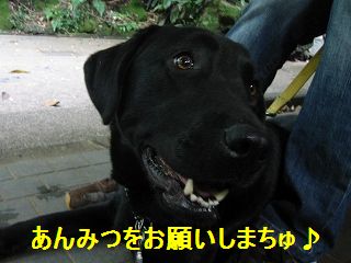 絶対でちゅよ〜♪