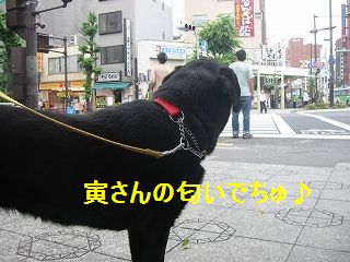 あっちにあるんだよ〜