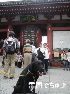 ゴロゴロ〜〜