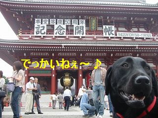 煙もあびまちたよん〜