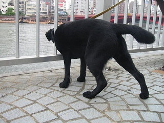 泳げるかなぁ〜