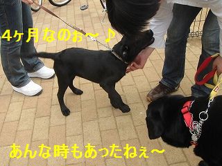 わかばちゃんです