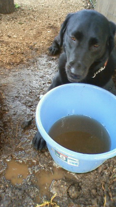 200906141105000.jpg