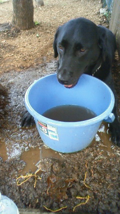 200906141104000.jpg