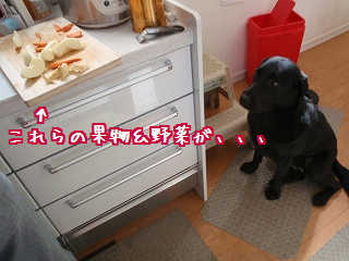 待ってまちゅ♪
