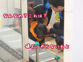 よっ!似合ってるよ!