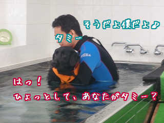 タミー?タミーなのね??
