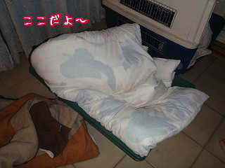 どこにいるかな〜