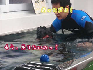 もう帰るわ