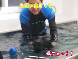 やだやだ〜