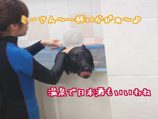 嫌よ、帰らないわ