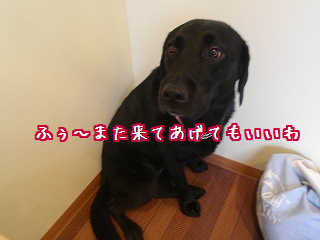 温泉だけね