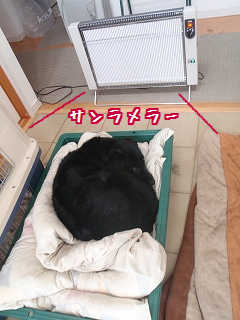 ぬくぬく〜