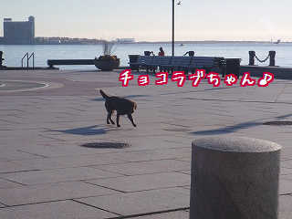 Good Mornig〜〜